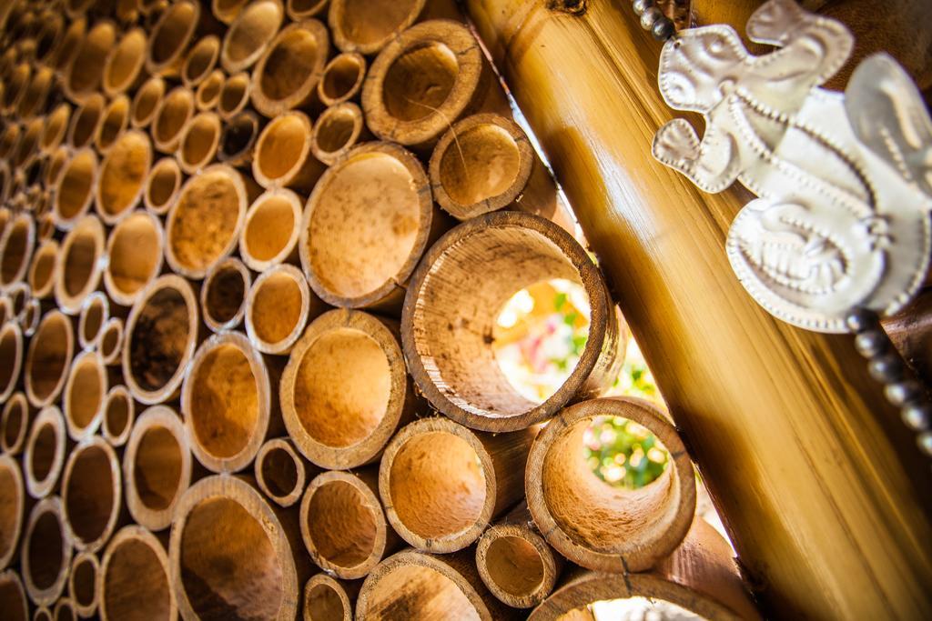 Bambu